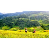Bảo đảm của Nhà nước đối với người sử dụng đất theo Điều 17 Luật đất đai 2024