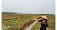 Giao đất, cho thuê đất đối với đất đang có người sử dụng cho người khác theo Điều 117 Luật đất đai 2024
