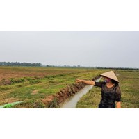 Giao đất, cho thuê đất đối với đất đang có người sử dụng cho người khác theo Điều 117 Luật đất đai 2024
