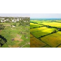Kế hoạch sử dụng đất hằng năm cấp huyện theo Điều 67 Luật đất đai 2024