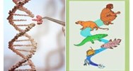 Sinh học 12 bài 26: Học thuyết tiến hoá tổng hợp hiện đại