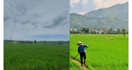 Trách nhiệm của Nhà nước trong việc cung cấp thông tin đất đai theo Điều 18 Luật đất đai 2024