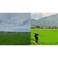 Trách nhiệm của Nhà nước trong việc cung cấp thông tin đất đai theo Điều 18 Luật đất đai 2024