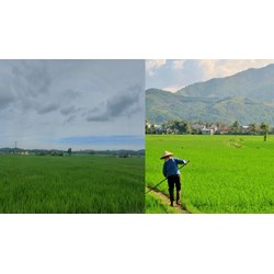 Trách nhiệm của Nhà nước trong việc cung cấp thông tin đất đai theo Điều 18 Luật đất đai 2024