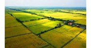 Phân loại đất theo quy định tại Luật đất đai 2024 mới nhất