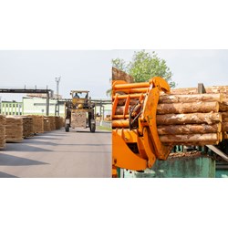 Đất khu nuôi, trồng, sản xuất, chế biến nông sản, lâm sản, thủy sản, hải sản tập trung theo Điều 194 Luật đất đai 2024