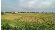 Quy định về sử dụng đất nông nghiệp do Nhà nước giao cho cá nhân, cộng đồng dân cư sử dụng