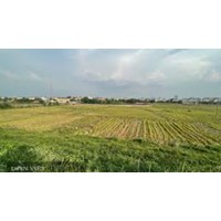 Quy định về sử dụng đất nông nghiệp do Nhà nước giao cho cá nhân, cộng đồng dân cư sử dụng