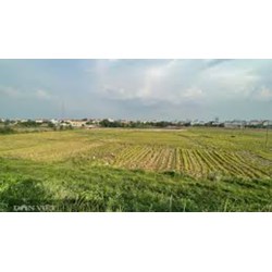 Quy định về sử dụng đất nông nghiệp do Nhà nước giao cho cá nhân, cộng đồng dân cư sử dụng