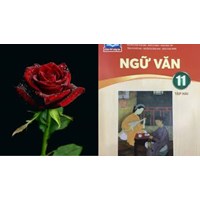 Soạn bài Gai ngắn gọn, hay nhất soạn văn lớp 11 Chân trời sáng tạo