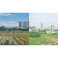 Các hoạt động điều tra, đánh giá đất đai theo Điều 52 Luật đất đai 2024