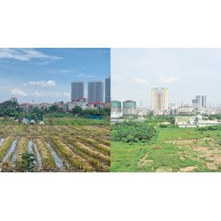 Các hoạt động điều tra, đánh giá đất đai theo Điều 52 Luật đất đai 2024