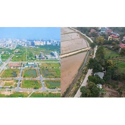 Công bố công khai quy hoạch, kế hoạch sử dụng đất theo Điều 75 Luật đất đai 2024