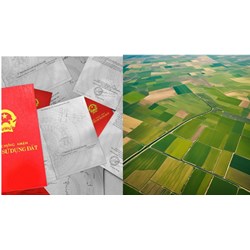 Cấp Giấy chứng nhận quyền sử dụng đất, quyền sở hữu tài sản gắn liền với đất cho tổ chức đang sử dụng đất theo Điều 142 Luật đất đai 2024