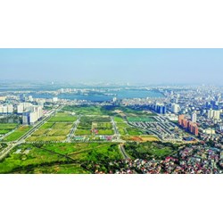 Lựa chọn tư vấn lập quy hoạch, kế hoạch sử dụng đất theo Điều 74 Luật đất đai 2024