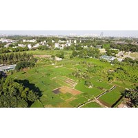 Các trường hợp thu hồi đất do vi phạm pháp luật về đất đai theo Điều 81 Luật đất đai 2024
