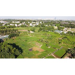 Các trường hợp thu hồi đất do vi phạm pháp luật về đất đai theo Điều 81 Luật đất đai 2024