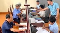 Những chức danh, chức vụ của cán bộ xã, phường, thị trấn