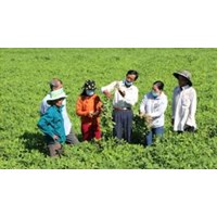 Hỗ trợ đào tạo, chuyển đổi nghề và tìm kiếm việc làm cho hộ gia đình, cá nhân khi Nhà nước thu hồi đất