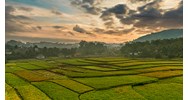 Bồi thường về đất khi Nhà nước thu hồi đất nông nghiệp của hộ gia đình, cá nhân theo Điều 96 Luật đất đai 2024