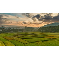 Bồi thường về đất khi Nhà nước thu hồi đất nông nghiệp của hộ gia đình, cá nhân theo Điều 96 Luật đất đai 2024