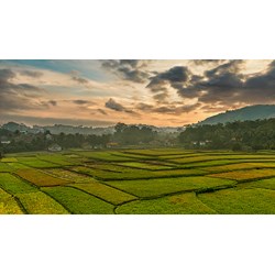 Bồi thường về đất khi Nhà nước thu hồi đất nông nghiệp của hộ gia đình, cá nhân theo Điều 96 Luật đất đai 2024