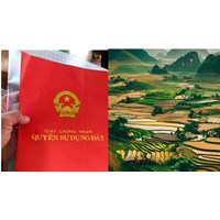 Các trường hợp không cấp Giấy chứng nhận quyền sử dụng đất, quyền sở hữu tài sản gắn liền với đất theo Điều 151 Luật đất đai 2024