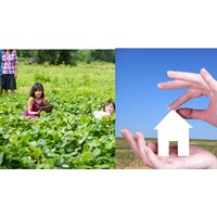Xử lý trường hợp sử dụng đất có vi phạm pháp luật đất đai trước ngày 01/7/2014