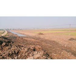 Căn cứ lập quy hoạch, kế hoạch sử dụng đất theo Luật đất đai 2024 mới nhất