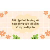 Bài tập tình huống về hợp đồng vay tài sản: Ví dụ có đáp án