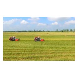 Quyền và nghĩa vụ của tổ chức kinh tế nhận chuyển nhượng quyền sử dụng đất, chuyển mục đích sử dụng đất theo Luật đất đai 2024