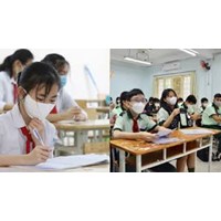 Đề thi học kì 2 môn Tiếng Anh 7 năm 2024 - 2025 Kết nối tri thức