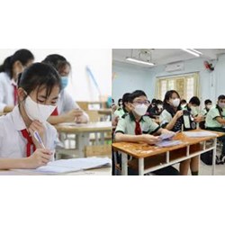 Đề thi học kì 2 môn Tiếng Anh 7 năm 2024 - 2025 Kết nối tri thức
