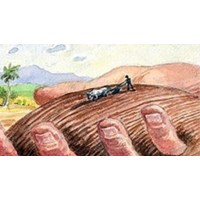 Nhà nước thực hiện quyền đại diện chủ sở hữu về đất đai theo Điều 14 Luật đất đai 2024