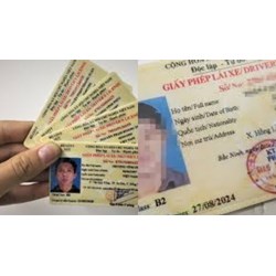 Mẫu đơn đề nghị đổi giấy phép lái xe cho người nước ngoài mới nhất