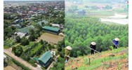 Căn cứ để giao đất, cho thuê đất, cho phép chuyển mục đích sử dụng đất theo Điều 116 Luật đất đai 2024
