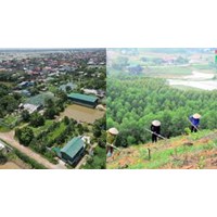 Căn cứ để giao đất, cho thuê đất, cho phép chuyển mục đích sử dụng đất theo Điều 116 Luật đất đai 2024