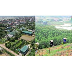 Căn cứ để giao đất, cho thuê đất, cho phép chuyển mục đích sử dụng đất theo Điều 116 Luật đất đai 2024