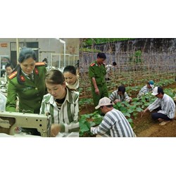 05 tình tiết tăng nặng xử lý kỷ luật trong thi hành án hình sự từ 15/11/2024