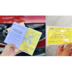 Người dân phải mang theo bảo hiểm xe bắt buộc để tránh bị phạt?