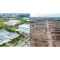 Doanh nghiệp 100% vốn đầu tư nước ngoài có quyền thuê đất thực hiện dự án nông nghiệp hay không?