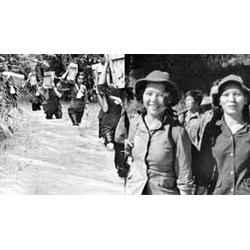 Soạn bài Khoảng trời, hố bom - Ngữ văn lớp 10 Cánh diều