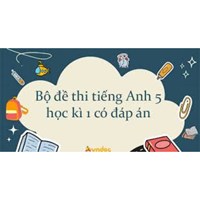 Đề thi học kì 1 lớp 5 môn Tiếng Anh năm 2024-2025 có đáp án
