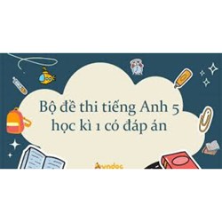Đề thi học kì 1 lớp 5 môn Tiếng Anh năm 2024-2025 có đáp án