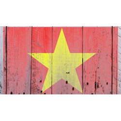 Tội phản bội Tổ quốc là tội nặng nhất theo Hiến pháp đúng hay sai?
