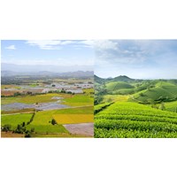 Dự kiến sẽ bãi bỏ toàn bộ 13 Thông tư trong lĩnh vực đất đai