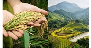 Thẩm quyền thu hồi đất của UBND cấp huyện theo Luật đất đai 2024