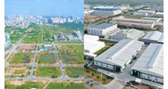 Quyền và nghĩa vụ của người gốc Việt Nam định cư ở nước ngoài, tổ chức kinh tế có vốn đầu tư nước ngoài sử dụng đất trong khu công nghiệp, cụm công nghiệp, khu công nghệ cao theo Điều 43 Luật đất đai 2024