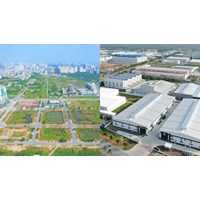 Quyền và nghĩa vụ của người gốc Việt Nam định cư ở nước ngoài, tổ chức kinh tế có vốn đầu tư nước ngoài sử dụng đất trong khu công nghiệp, cụm công nghiệp, khu công nghệ cao theo Điều 43 Luật đất đai 2024