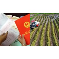 Mức phạt hành chính khi không đăng ký đất đai mới nhất